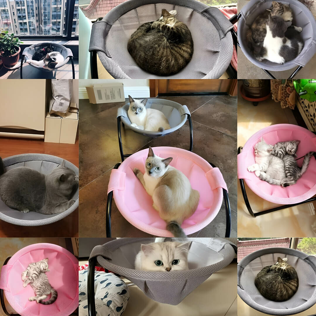 AMACA PER GATTI - immagine 2