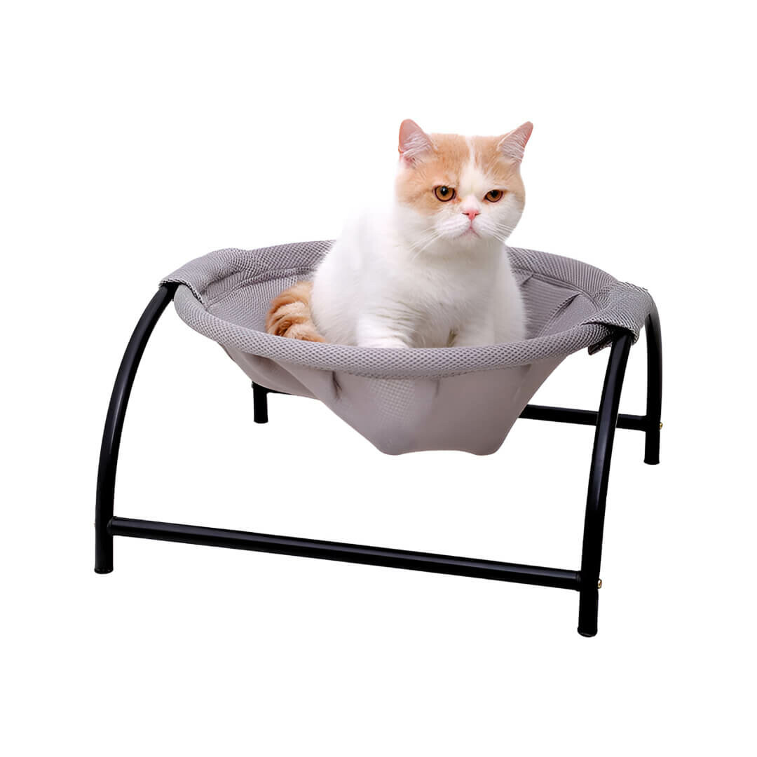 AMACA PER GATTI - immagine 3