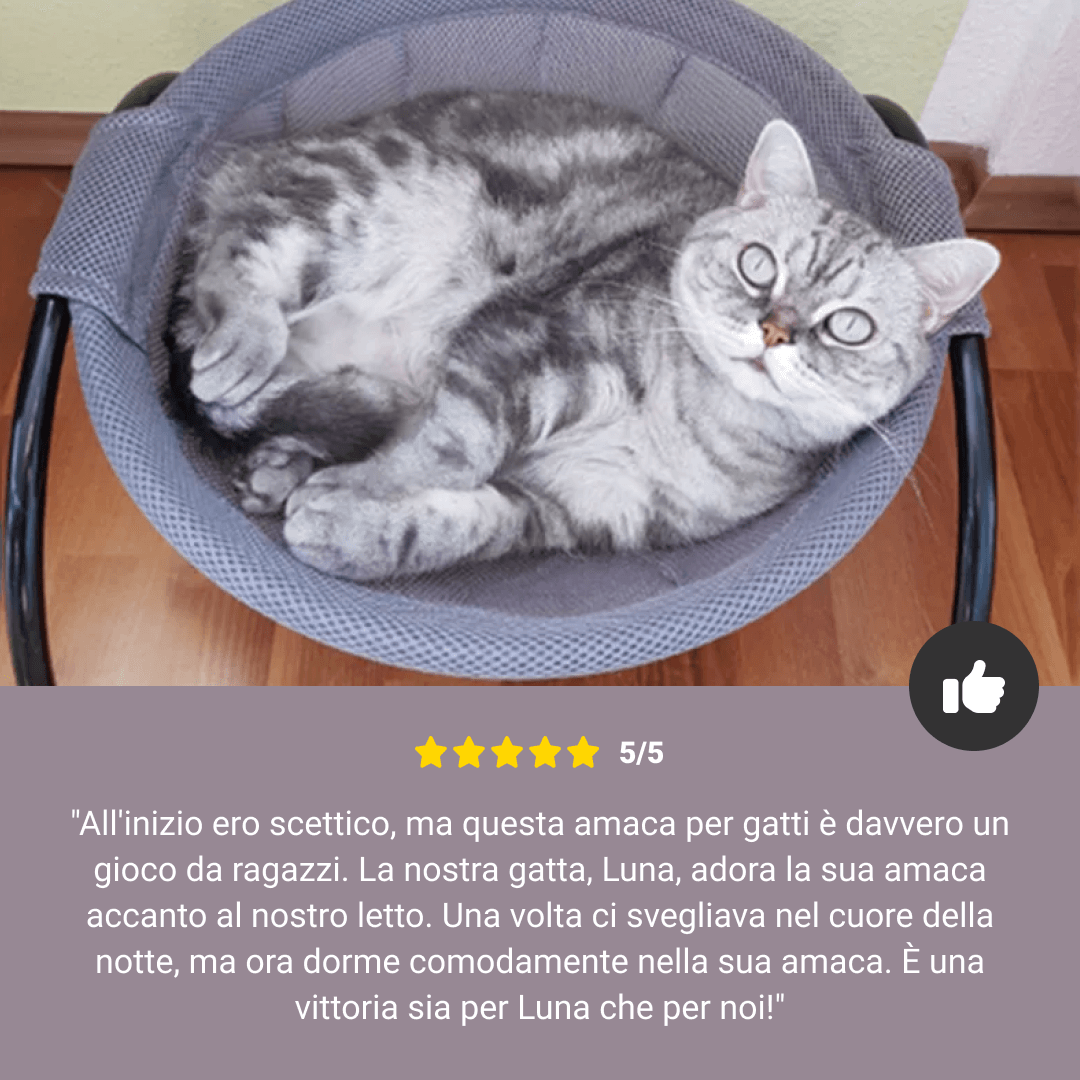 AMACA PER GATTI - immagine 5