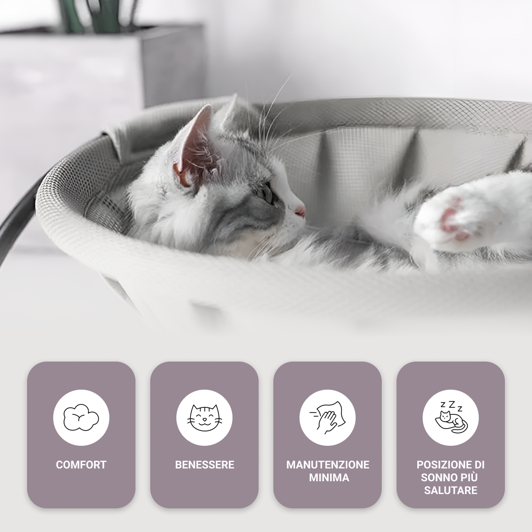 AMACA PER GATTI - immagine 4