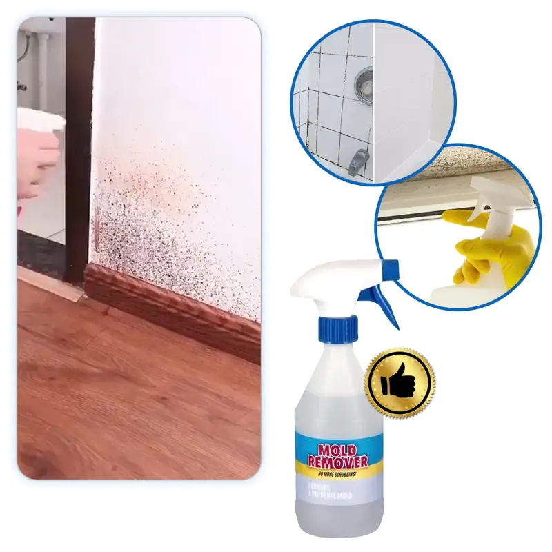 Moldguard – Spray per la rimozione della muffa e l’eliminazione permanente della muffa in casa